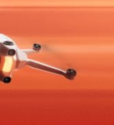 A1