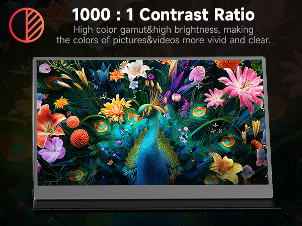 AYY Portable Monitor for Laptop 15.6 Inch FHD 1080P