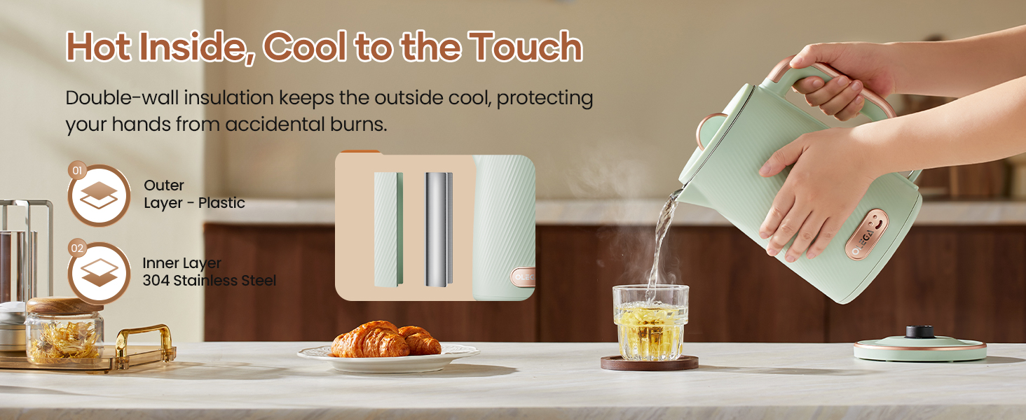 OLEGA Electric Kettle