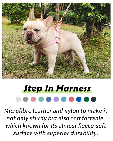 Step In Dog Harness