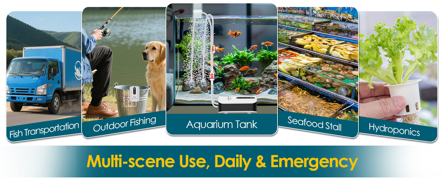 air pump for fish tank