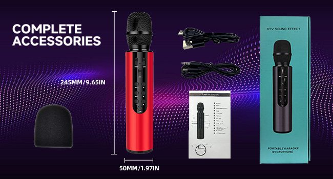 microphone with speaker