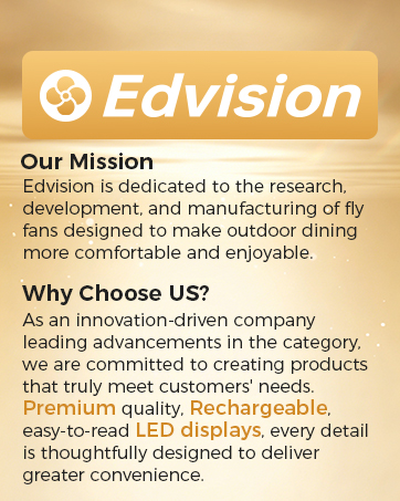 About Edvision
