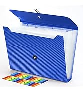 Expanding File Folder, 13 Pockets Accordian File Holder Organizer, A4 Letter Size Paper Document ...