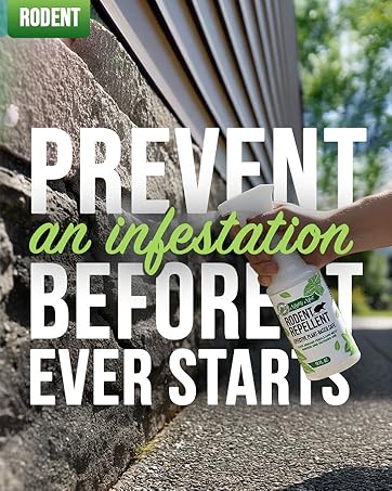 Prevent an infestation before it ever starts