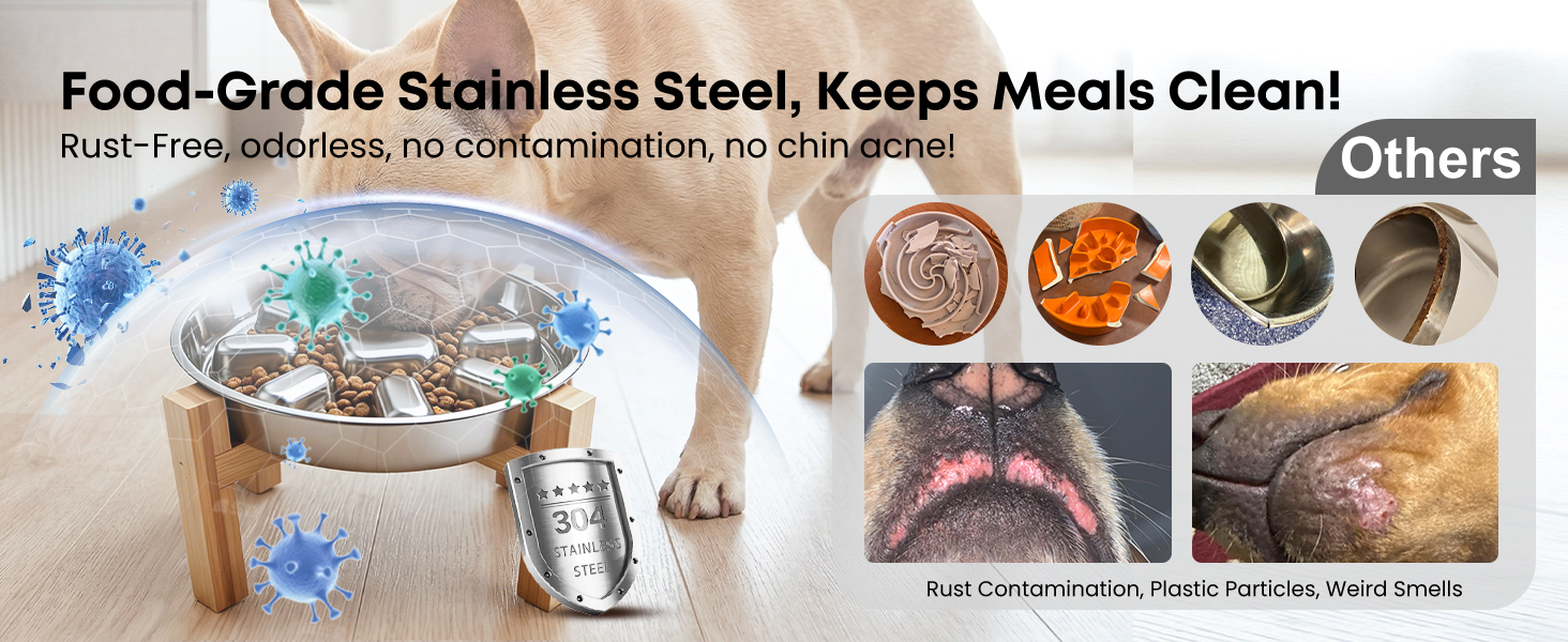 slow feeding dog bowl