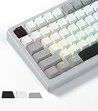 Womier Keycaps, Low Profile Keycaps, Shine Through Custom PBT Keyboard Key caps for 60% 65% 75% 80% ...