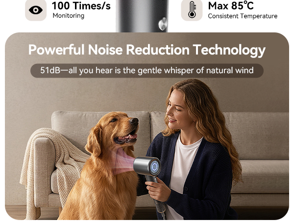 diffuser hair dryer