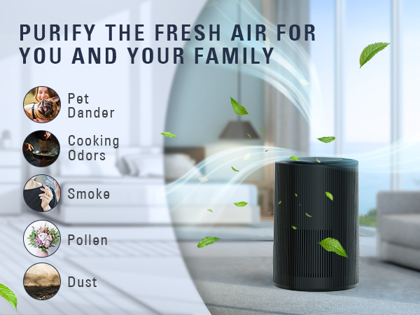 STEALTH JAP200 HEPA Air Purifier with quiet sleep mode