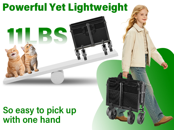 powerful and lightweight