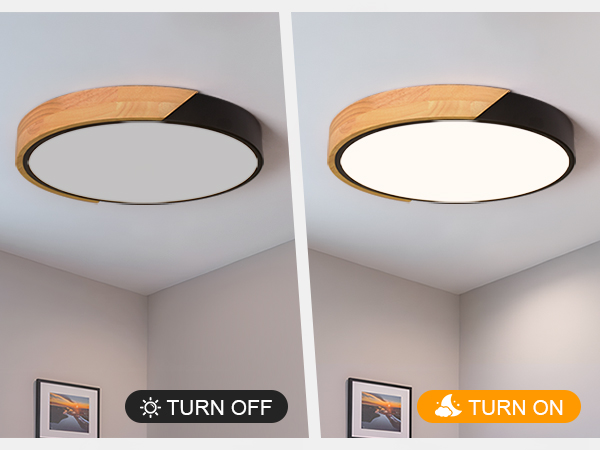 ceiling light fixture