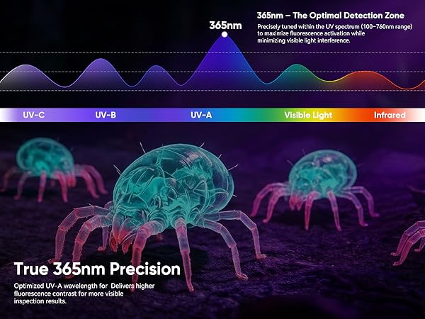 Scorpion detection