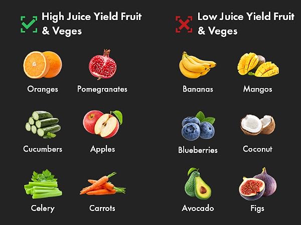 Masticating Juicer Attachment for KitchenAid Stand Mixer