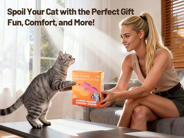 Interactive Cat Toys