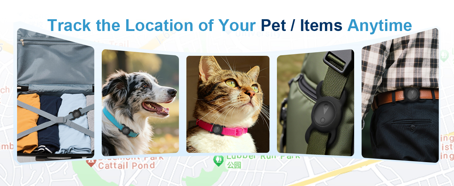 cat collar with tracker