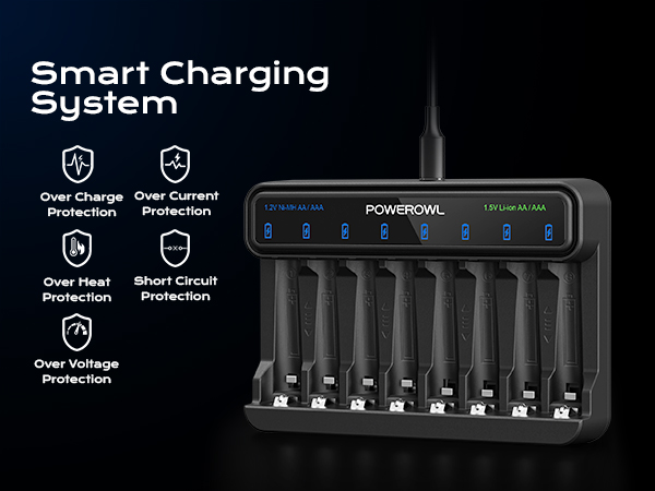 charger protection system