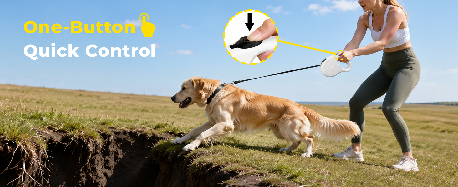 dog leashes for medium dogs