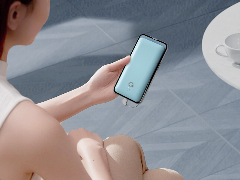 power bank with cable