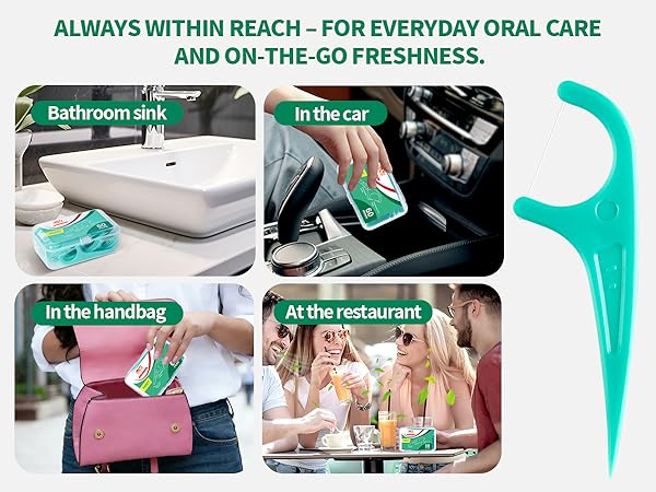Dental Floss Picks