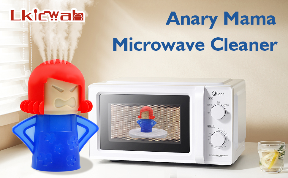 Microwave cleaner
