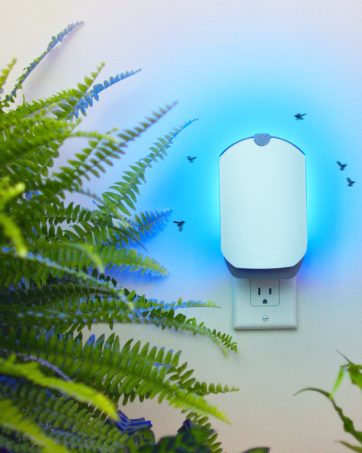 Zevo flying insect trap