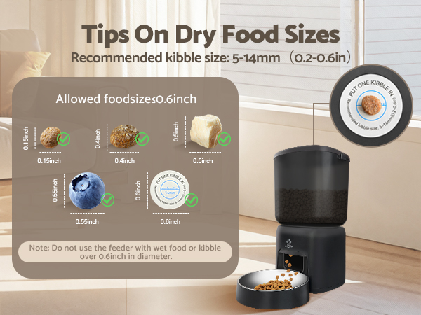 Automatic Cat Feeder