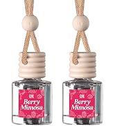 CANDECraftCo Car Air Hanging Fragrance Oil, Car Auto Freshener for Essential Oils, Scents Fragran...