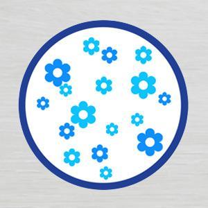 aplus content image