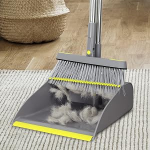 dustpan