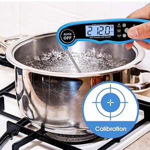 temperature thermometer