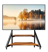 Floor TV Stand