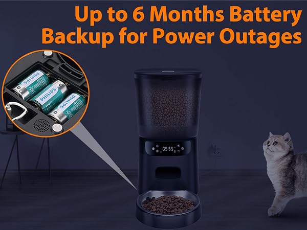 timed cat feeders for dry food