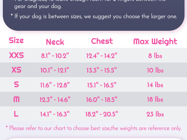 small sized dog harness