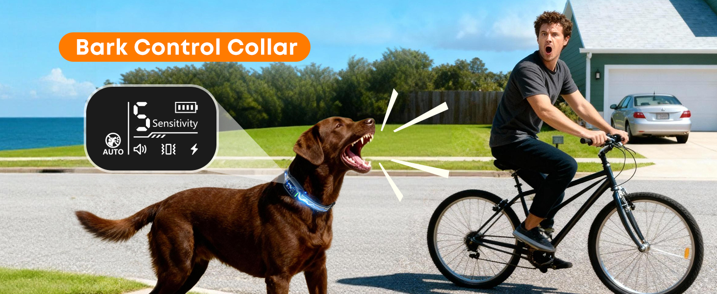 dog shock collar