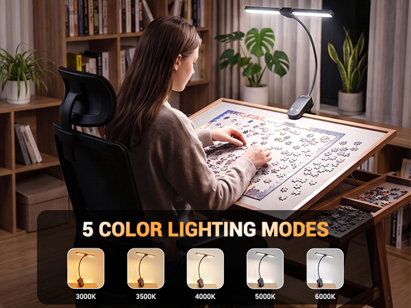 Clip on Light