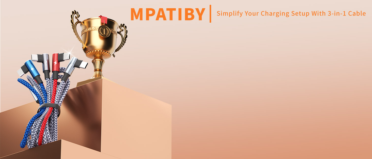 USB C Splitter Multi Charging Cable