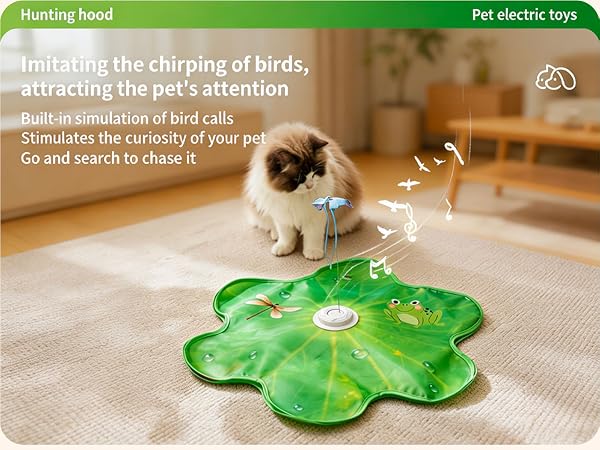 cat toy