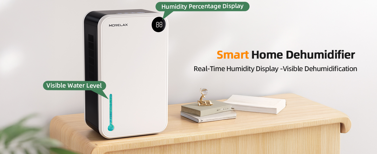 home Dehumidifier