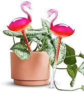 Self-Watering Glass Globes 2PCS Flamingo Gradient Hot Pink 10