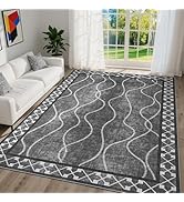 DweIke 4x6 Area Rugs for Living Room, Machine Washable Bordered Rug for Bedroom, Luxury Rubber Ba...