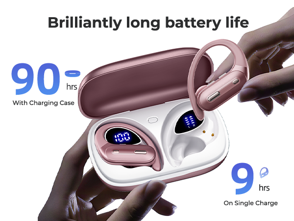 wireless earbuds with earhook