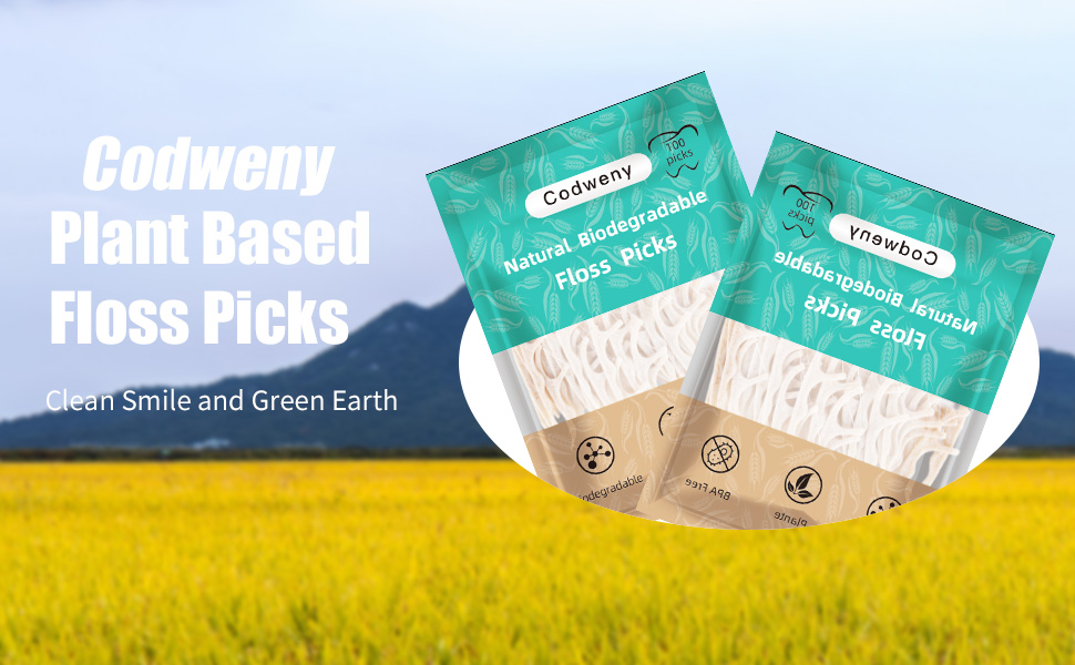 Biodegradable Dental Floss Picks