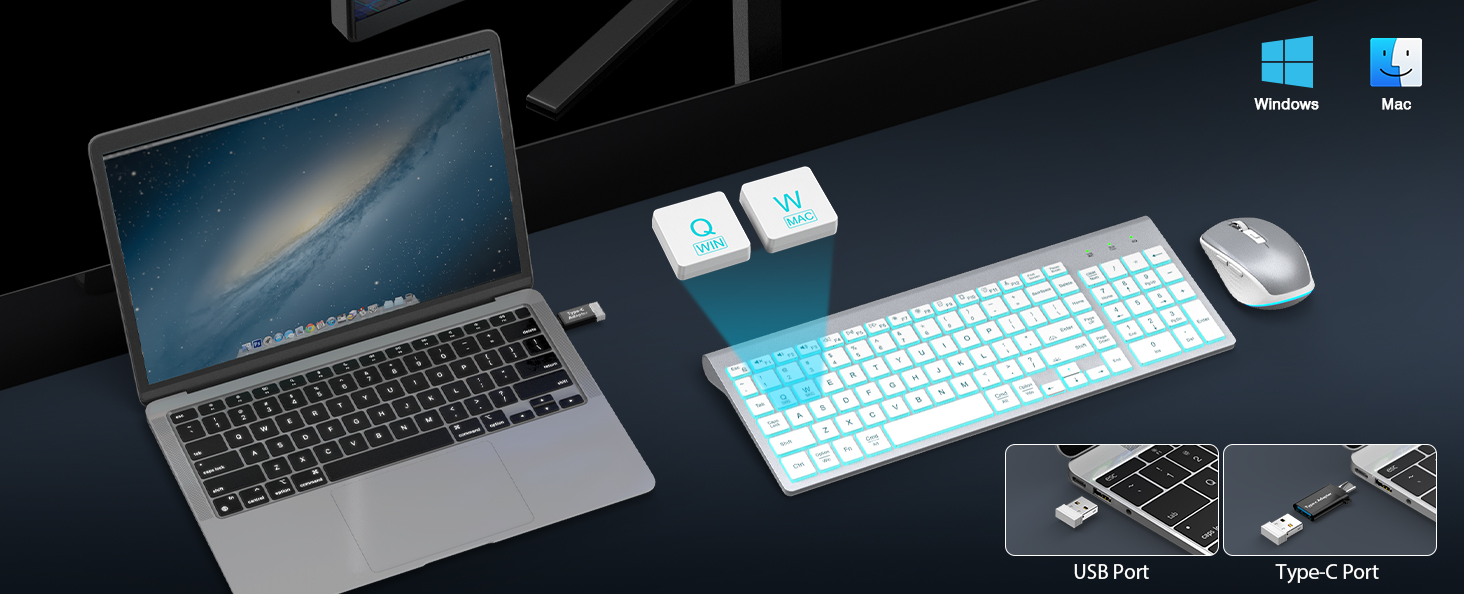 dual system off the college