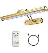 MIOBLUE Rechargeable Picture Light with Remote, Wireless Battery Art Display Light with Remote Co...