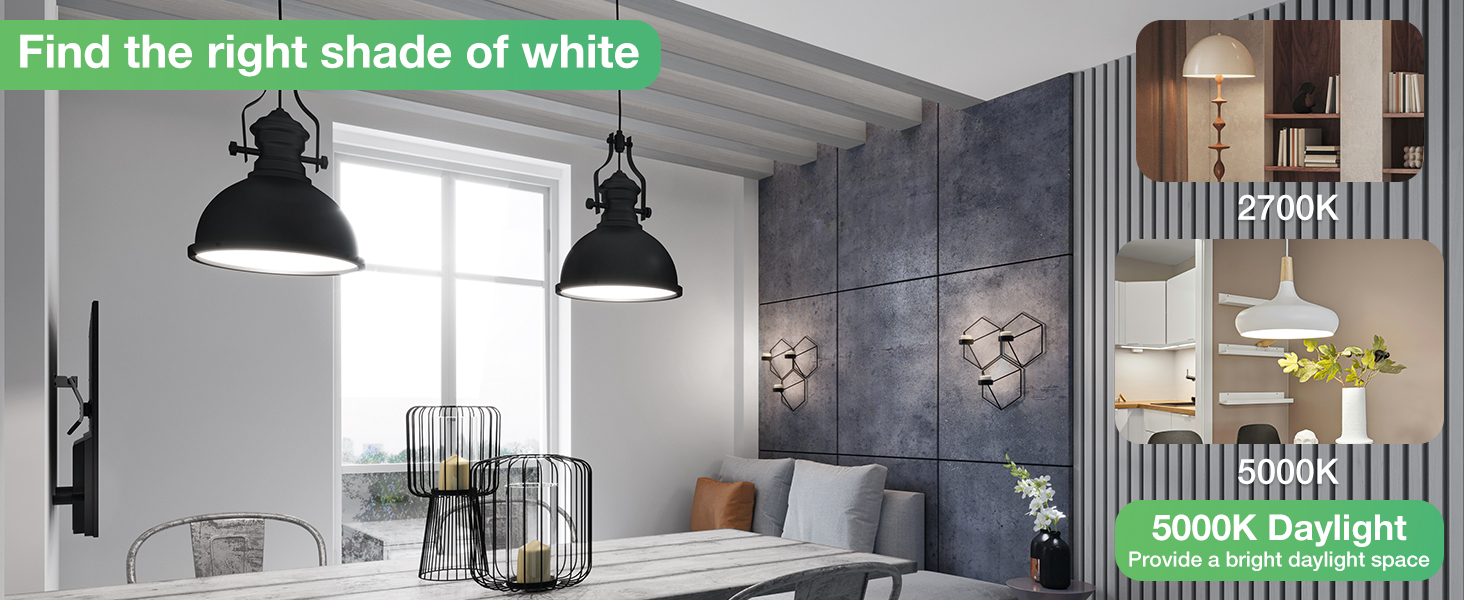 A19 LED Light Bulbs Daylight