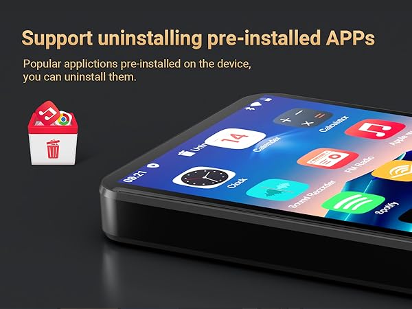 MP3 Player with Bluetooth and WiFi