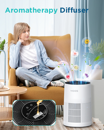 ari purifier for large home