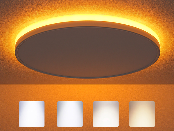 12 inch led ceiling light with night light
