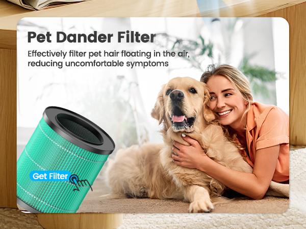 Air Purifier