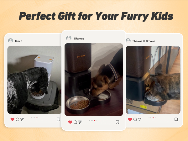 automatic cat feeder cat food dispenser automatic dog feeder pet feeder